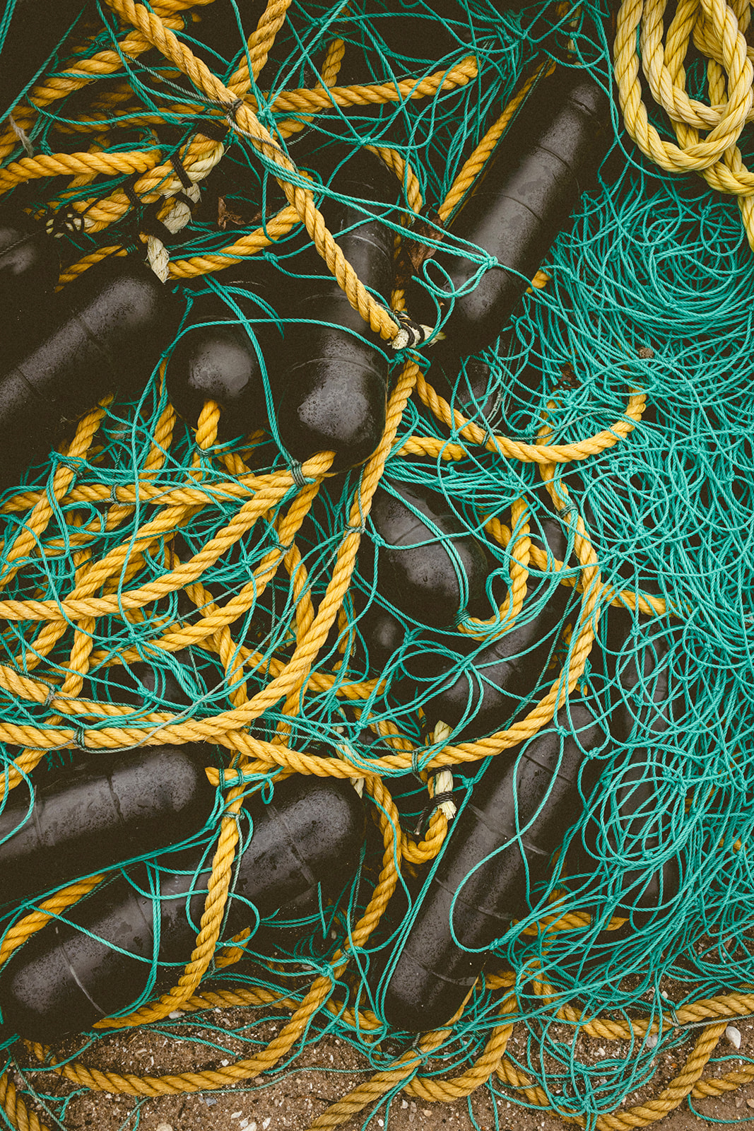 November 16 - Ohio Aquaculture Company Joins International Effort That Seeks to Use 100% of Each Fish