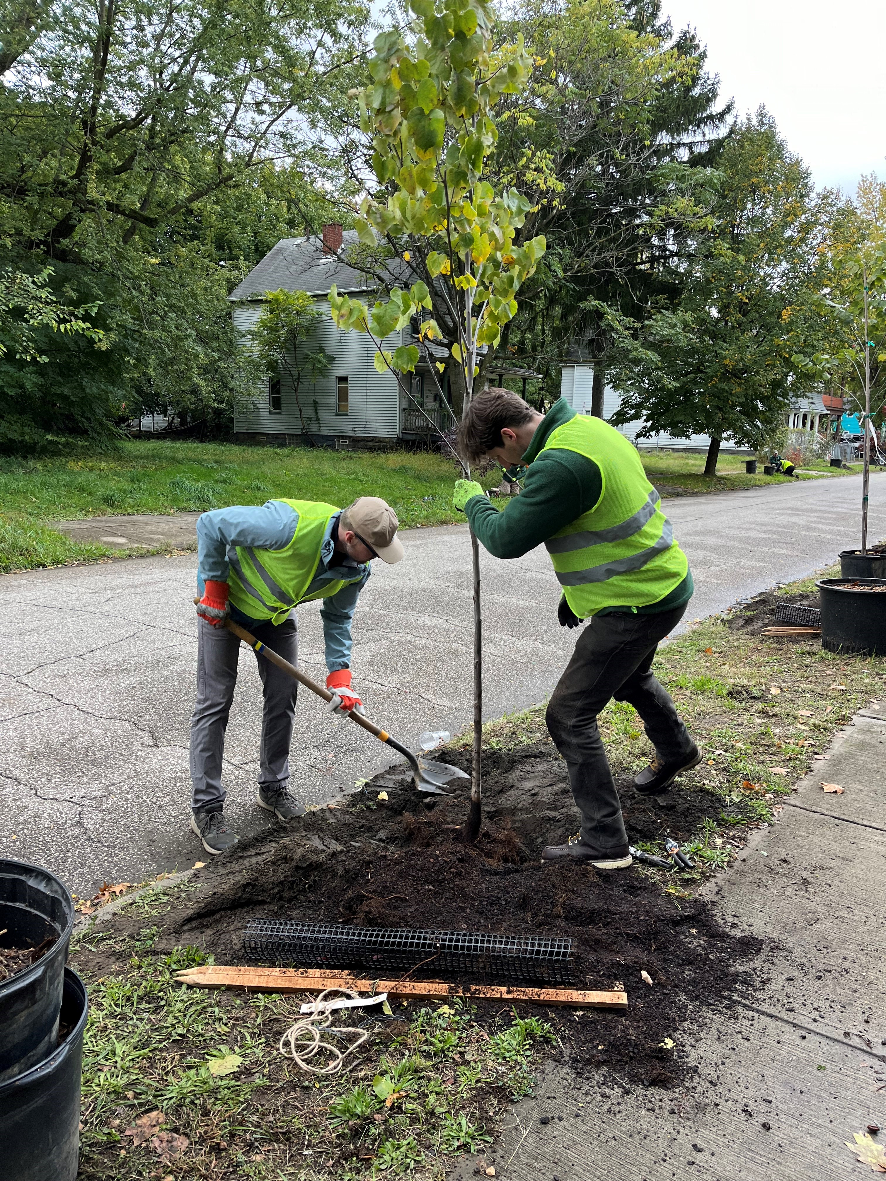 Planting Trees for Better Health in Cleveland