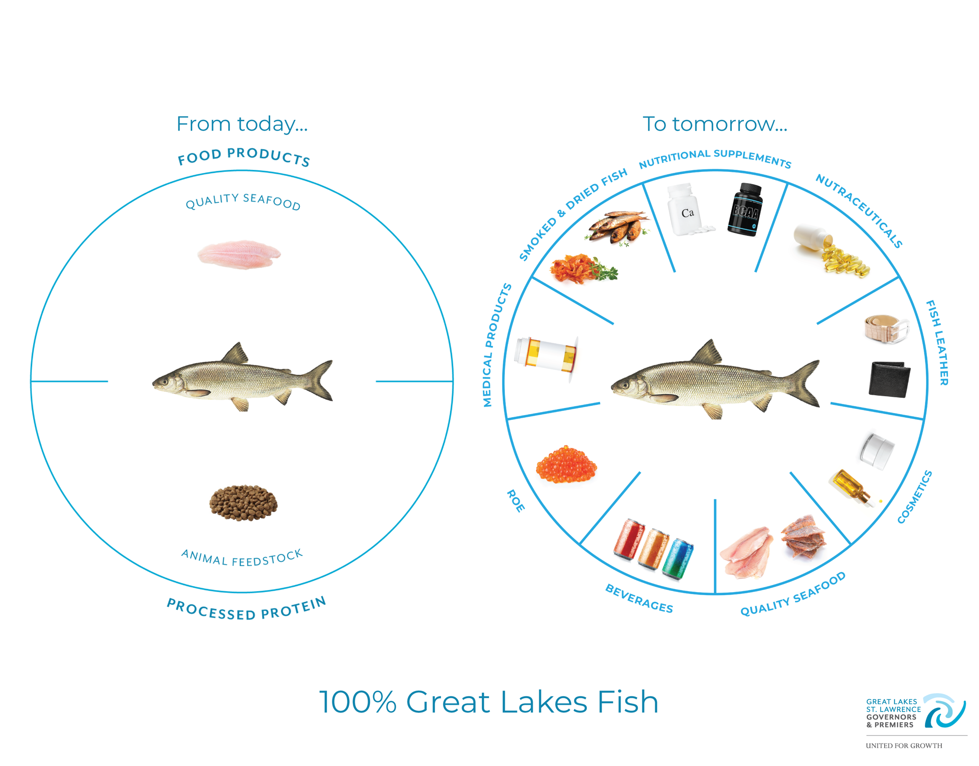Fish Iniciative Overview Great Lakes Governors and Premiers